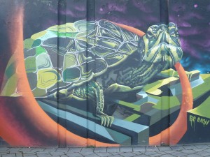 graffiti-art-turtle-Eindhoven-Berenkuil