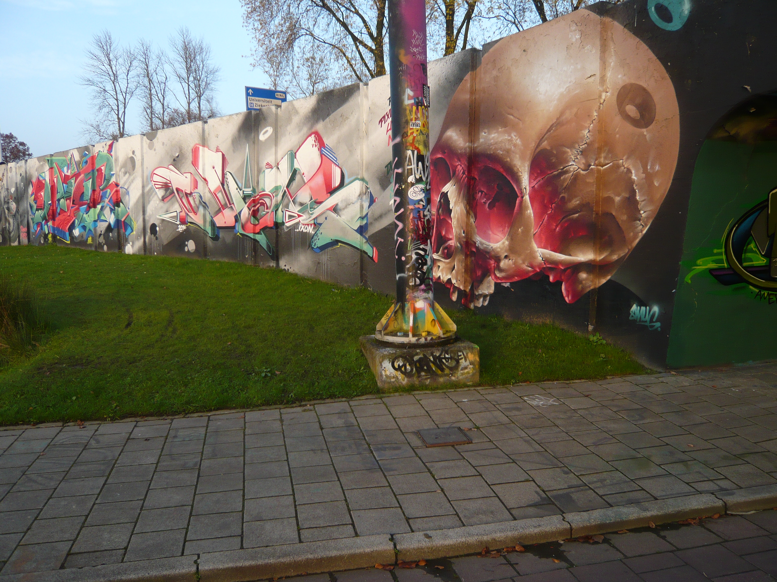 graffiti-skull-art-Eindhoven-Berenkuil